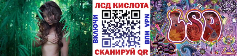 даркнет клад  Кировград  Марки N-bome 1,5мг 